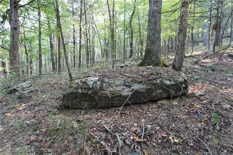 tbd Old 81 Loop, Rudy, AR 72952 photo 10