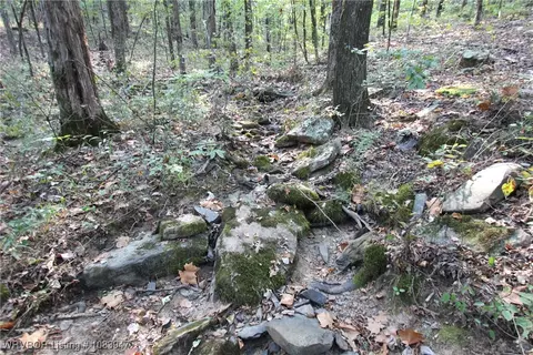 tbd Old 81 Loop, Rudy, AR 72952 photo 3