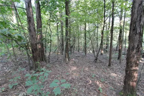 tbd Old 81 Loop, Rudy, AR 72952 photo 15