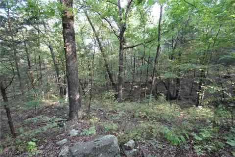 tbd Old 81 Loop, Rudy, AR 72952 photo 19