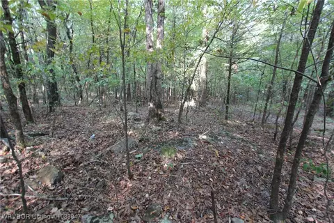 tbd Old 81 Loop, Rudy, AR 72952 photo 17