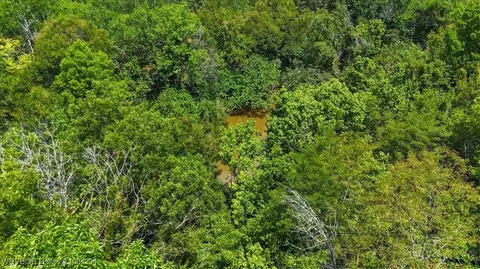 40 Acres Flagstone Loop, Idabel, OK 74745 photo 20