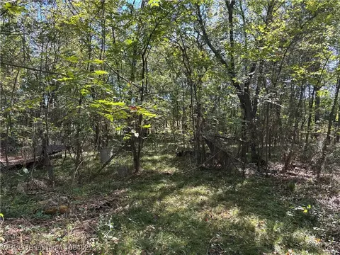 5319 Bach Rd, Ratcliff, AR 72951