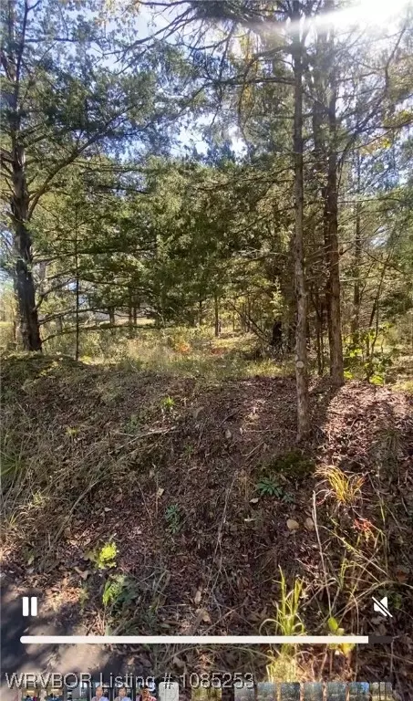 lot5 Cobblestone Rd, Huntington, AR 72940