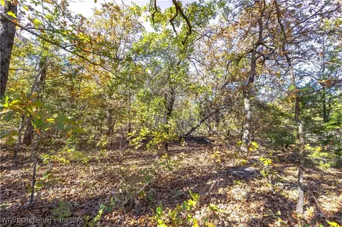 tbd Oak Ridge Dr, Stuart, OK 74570 photo 7