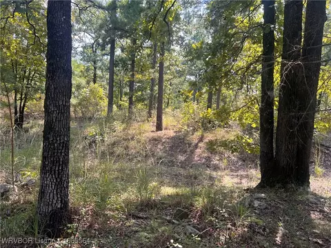 Tract 8 River Road, Whitesboro, OK 74577