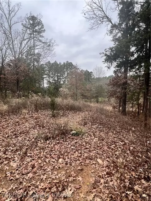 2276 Brown St, Paris, AR 72855 photo 2
