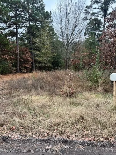 2276 Brown St, Paris, AR 72855 photo 8