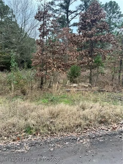 2276 Brown St, Paris, AR 72855 photo 5