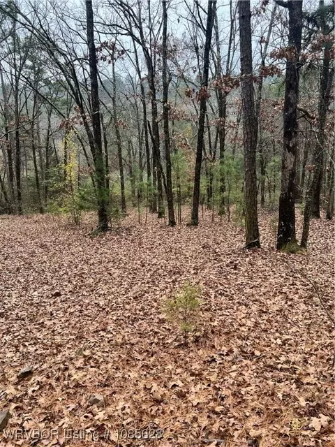 2276 Brown St, Paris, AR 72855 photo 6