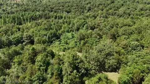 0 Oak Bnd, Cecil, AR 72930 photo 2