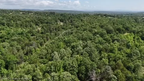 0 Oak Bnd, Cecil, AR 72930 photo 7