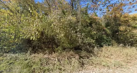 tbd Zinc Cuttoff Rd, Harrison, AR 72601 photo 5
