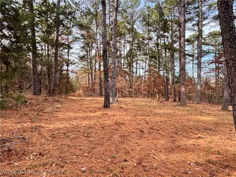 Other - 8911 W Highway 252, Hackett, AR 72937 photo 16 of 20