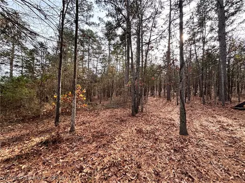 Other - 8911 W Highway 252, Hackett, AR 72937 photo 15 of 20