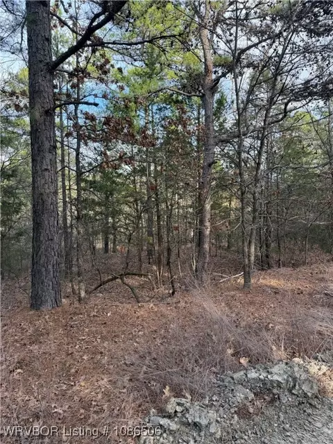 tbd Baldwin Ranch Rd, Wister, OK 74966
