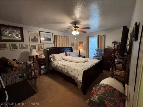 Bedroom - 173 Schwartz Ln, Paris, AR 72855 photo 1 of 3