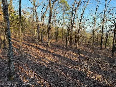 tbd Ouachita National Frst, Danville, AR 72833