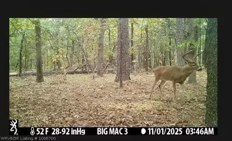 tbd Williams Rd, Blanco, OK 74528 photo 5