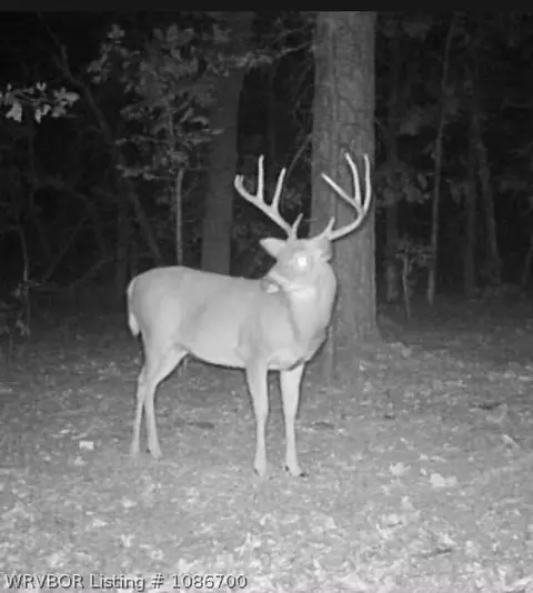 tbd Williams Rd, Blanco, OK 74528 photo 7