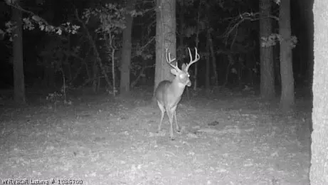 tbd Williams Rd, Blanco, OK 74528 photo 6