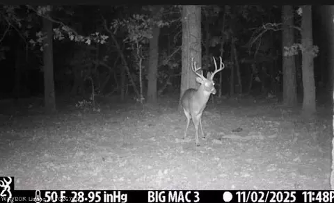 tbd Williams Rd, Blanco, OK 74528 photo 9