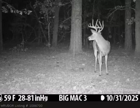 tbd Williams Rd, Blanco, OK 74528 photo 4