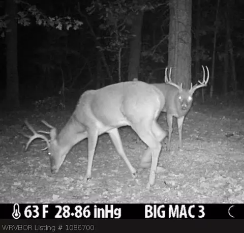tbd Williams Rd, Blanco, OK 74528 photo 3