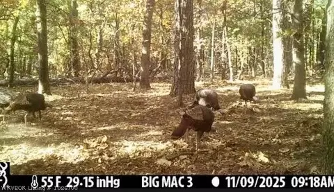 tbd Williams Rd, Blanco, OK 74528 photo 8