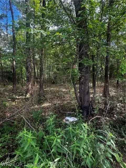 tbd Tract 1 1070, Muldrow, OK 74948 photo 2