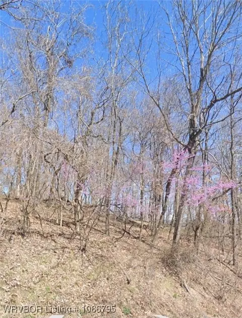 tbd Summit Dr, Holiday Island, AR 72631