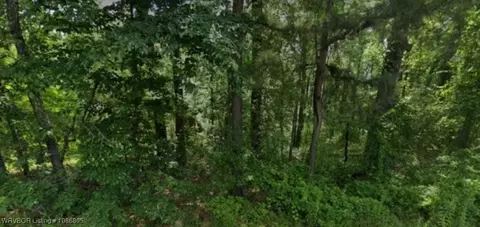 lot009 N Norman St, Other, AR 71602