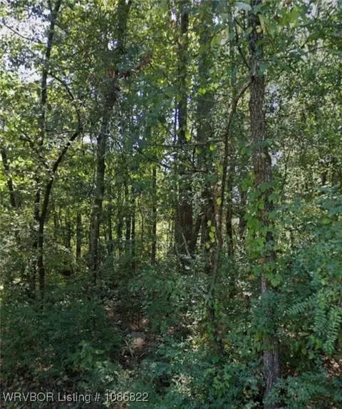 lot004 W Webb Ave, Other, AR 71602
