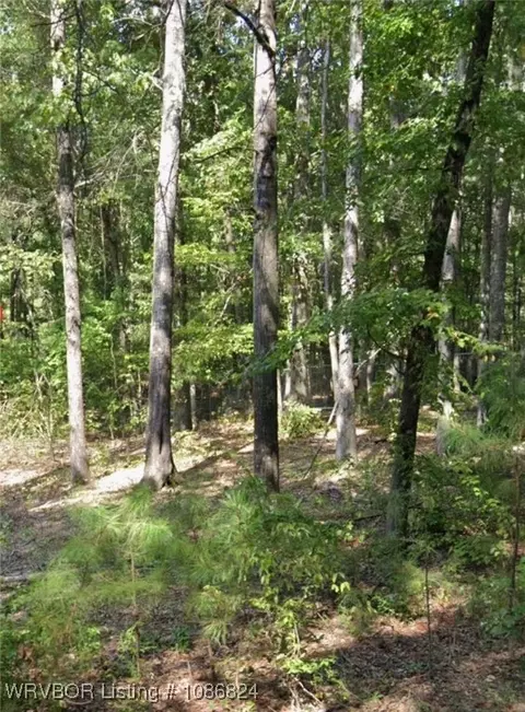 lot011 W Jones Ave, Other, AR 71602