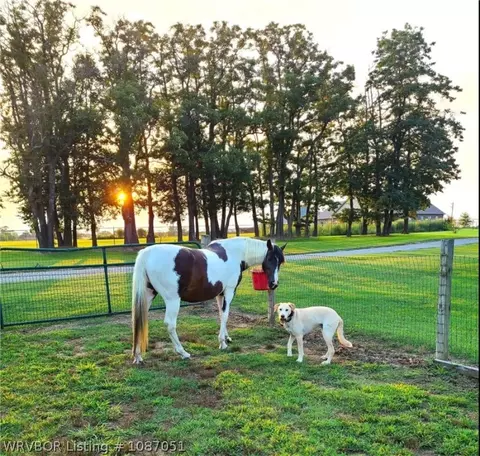 Other - 3414 Bugscuffle Rd, Lavaca, AR 72941 photo 12 of 17