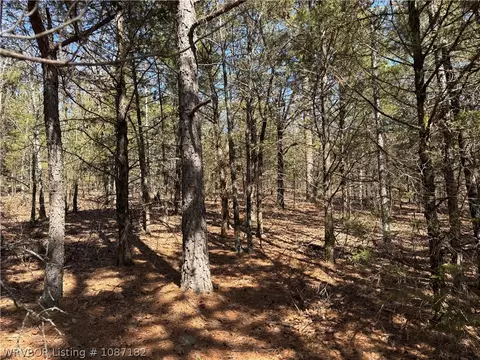 9 Suvada Lane, Paris, AR 72855