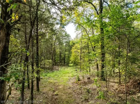 tbd Dry Hill Loop, Chester, AR 72934