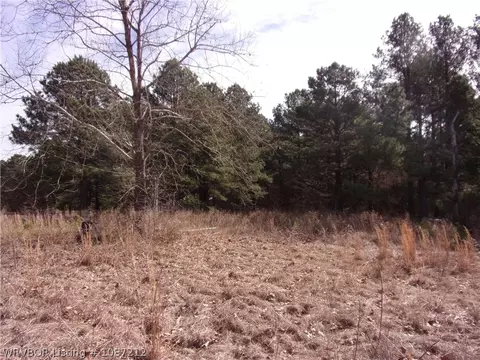 10060 Scenic View Rd, Ozark, AR 72949 photo 3