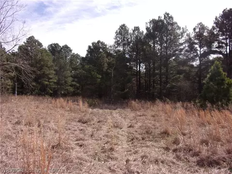 10060 Scenic View Rd, Ozark, AR 72949 photo 2
