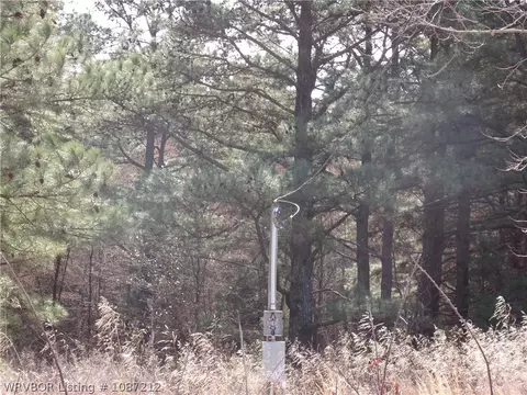 10060 Scenic View Rd, Ozark, AR 72949 photo 5