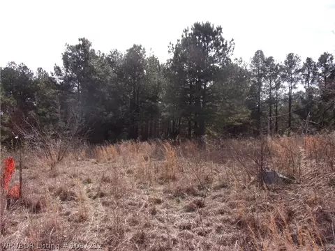 10060 Scenic View Rd, Ozark, AR 72949 photo 6
