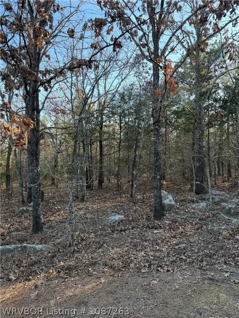 Tract 2 Rural Atoka, Atoka, OK 74525