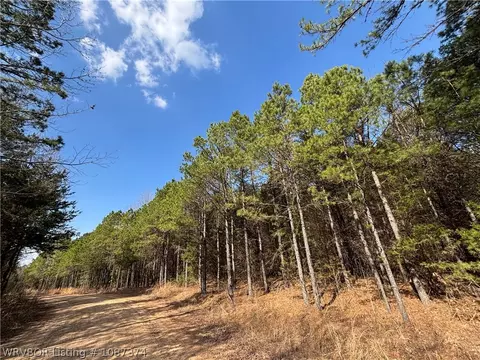 tbd Pilot Grove Loop, Ozark, AR 72949 photo 6