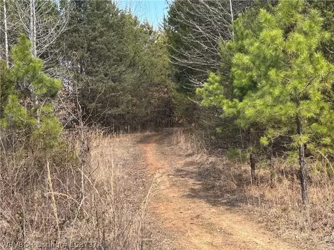 tbd Pilot Grove Loop, Ozark, AR 72949 photo 7