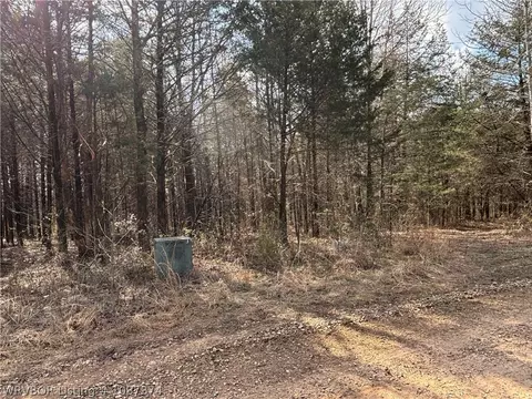 tbd Pilot Grove Loop, Ozark, AR 72949 photo 3