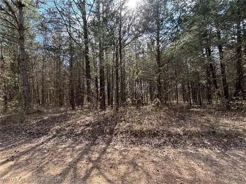 tbd Pilot Grove Loop, Ozark, AR 72949 photo 4