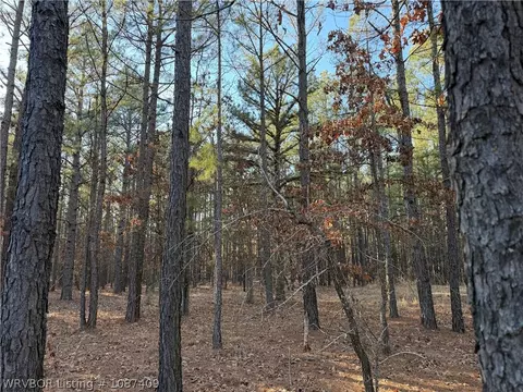 Tract 3 Rural Atoka, Atoka, OK 74525