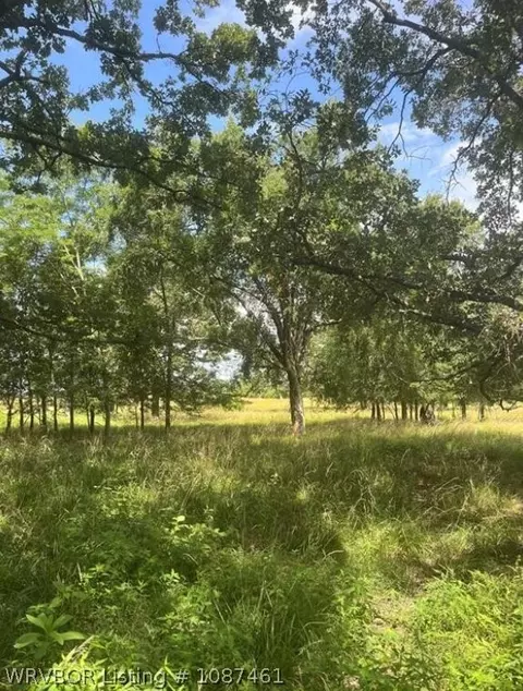 Tract 1415 Bean Patch Loop, Howe, OK 74940 photo 7