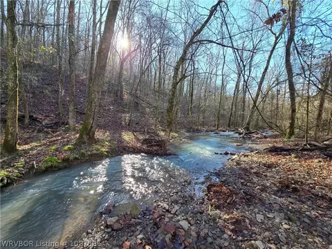 tbd Big Bear Canyon Trl, Chester, AR 72934