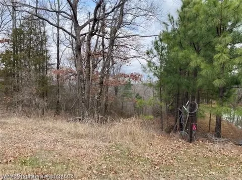 tbd Pawpaw Branch Rd, Chester, AR 72934
